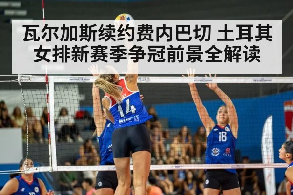 volleyball spike action